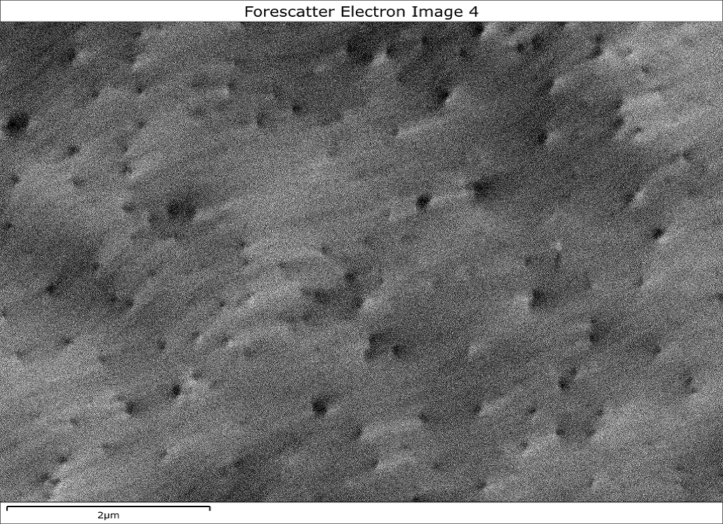Electron channelling contrast SEM image of individual threading dislocations in a GaN thin film
