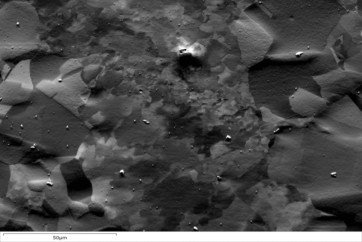 A forescatter electron image showing the grain structure in a deformed Ni sample